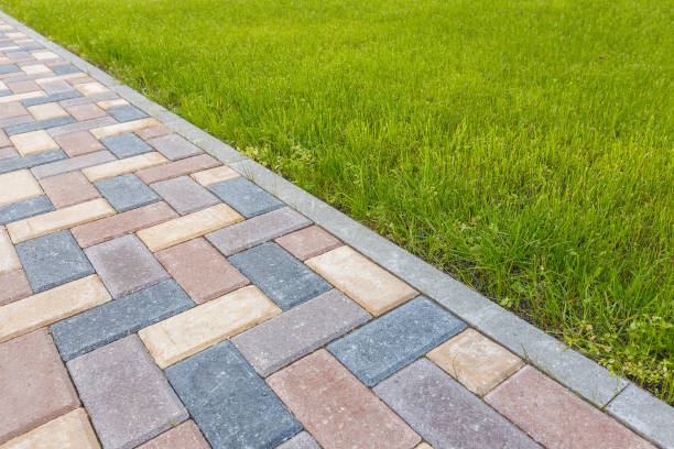 Best Driveway Paving Near Me  in Pahoa, HI
